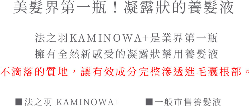 美髮界第一瓶！凝露狀的養髮液